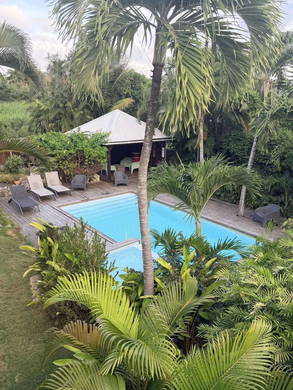Vue plongeante sur la piscine et le jardin tropical de la Résidence Alamanda