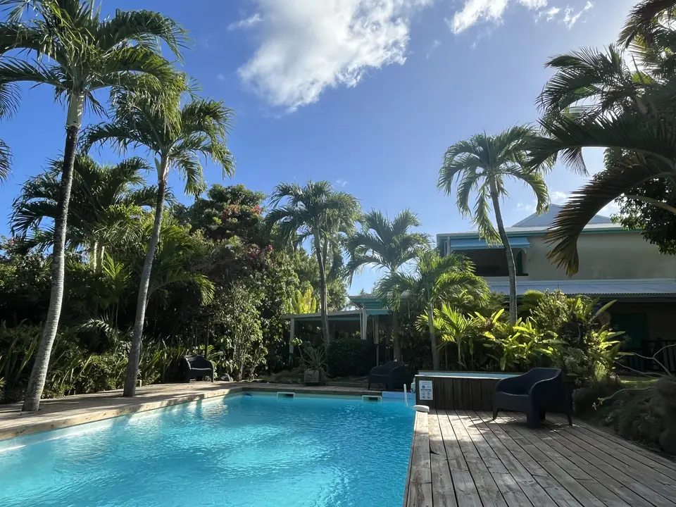 Piscine de la Résidence Alamanda entourée de palmiers, accès direct depuis la Villa Bougainvillée