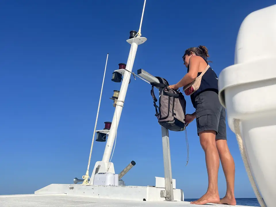 Bateau de la sortie d'observation des cétacés en Guadeloupe